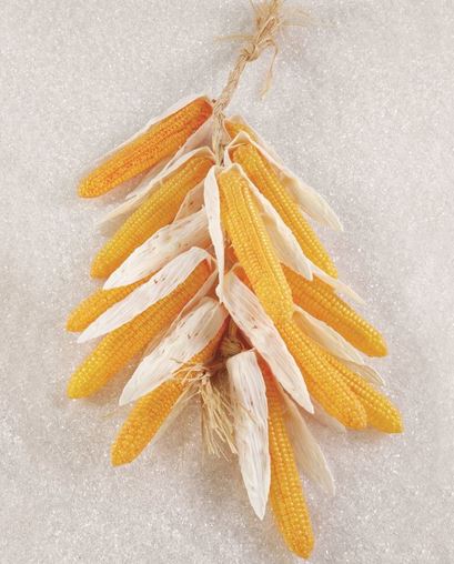 12 CORNS GARLAND
