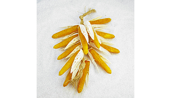 Decorative vegetables garlands