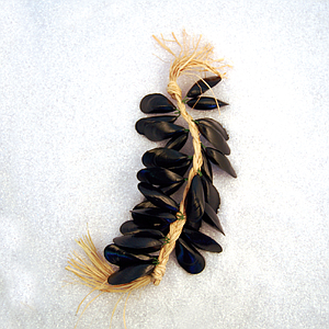 MUSSELS GARLAND, 500 MM