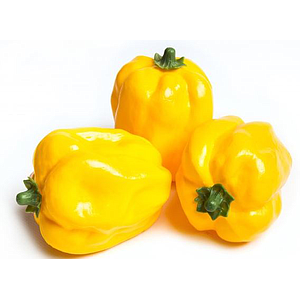 YELLOW BELL PEPPER