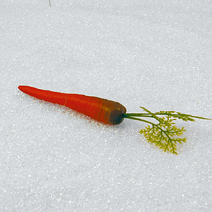 CARROT WITH LEAF
