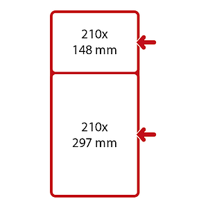 SHOWCARD FRAMES WITH CROSS BAR, LSE, A4P AND A5L