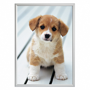 ALU-SNAP TYPE FRAME WITH MITRED CORNERS, 500X700 MM, 32 MM PROFILE 